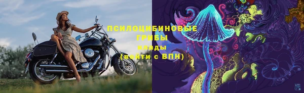 ешки Лиски