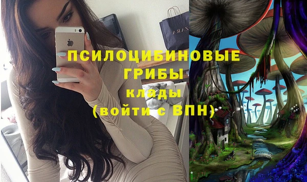 ешки Лиски